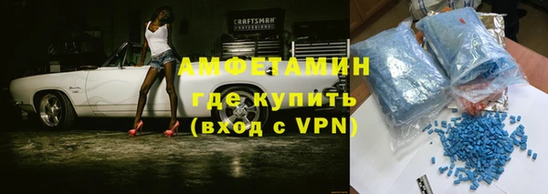 индика Осташков