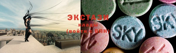 индика Осташков