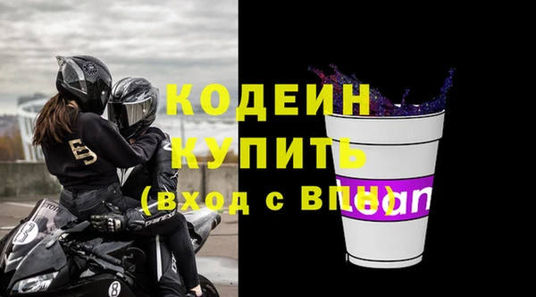 индика Осташков