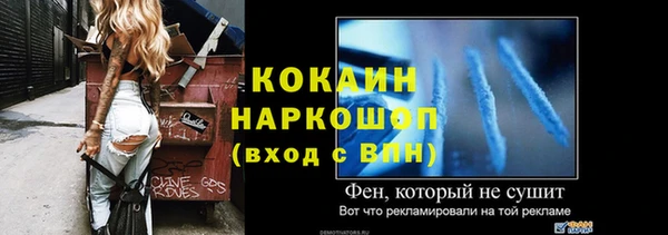 мет Няндома