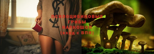 мет Няндома