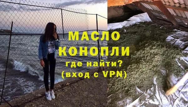 индика Осташков