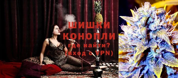 индика Осташков