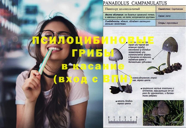 2c-b Дмитров