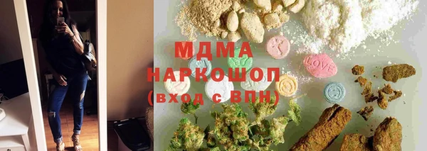 индика Осташков